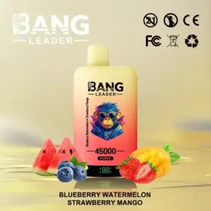 BANG Leader 45000 Puffs Disposable Vape - Dual Mesh