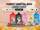 ELF BOX Fumot Digital Box 12K