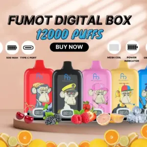 ELF BOX Fumot Digital Box 12K
