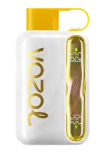 VOZOL SATR 40K Disposable Vape